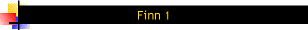Finn 1