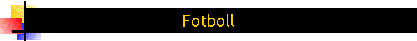 Fotboll